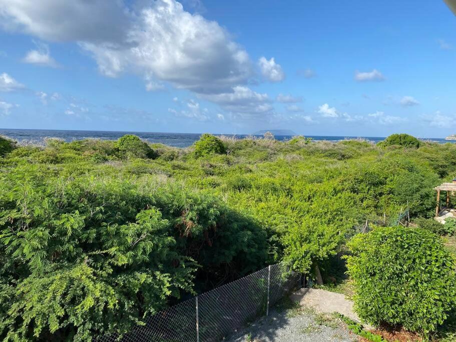 Maison Bord De Mer A 100 M Saint-Francois (Grande-Terre) Exterior foto